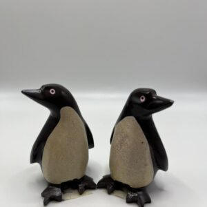 Pingüino Pequeño