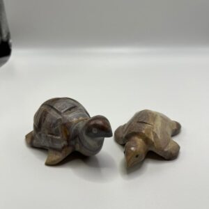 Tortuga Pequeña
