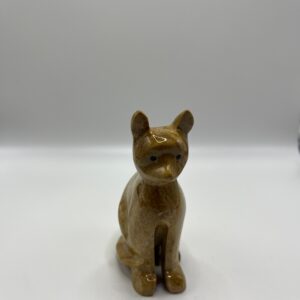 Gato Pequeño