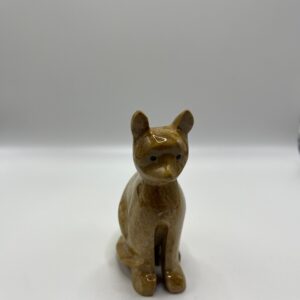 Gato Pequeño