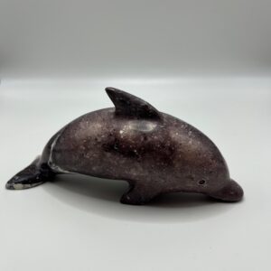 Delfin Pequeño