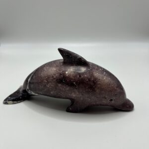 Delfin Pequeño