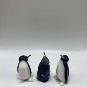 Pingüino Pequeño